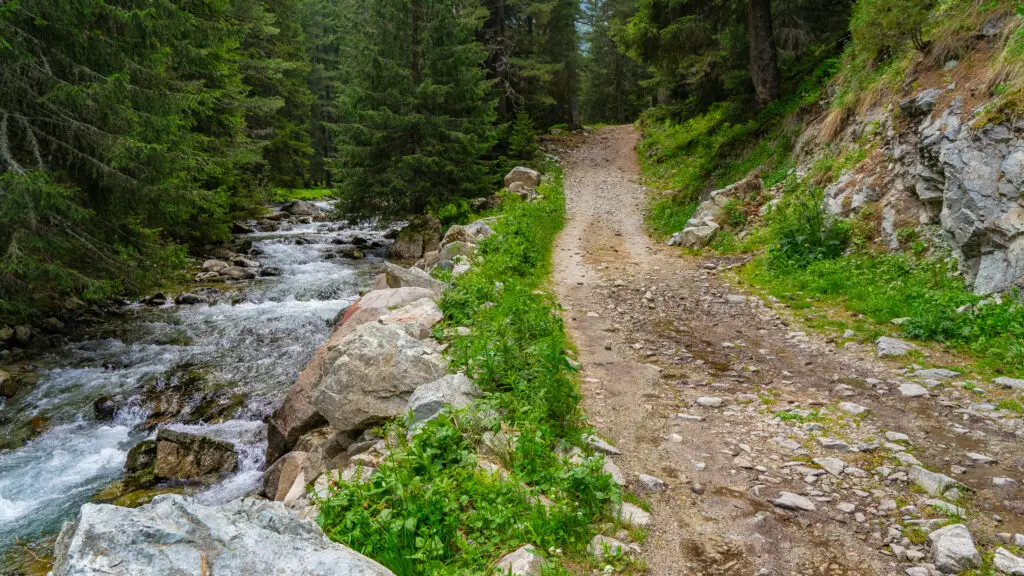 Demyanitsa trail next to the river