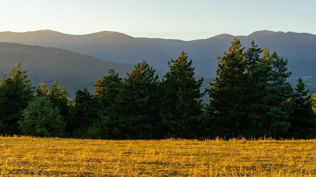 Sunset at field around Bansko with trees